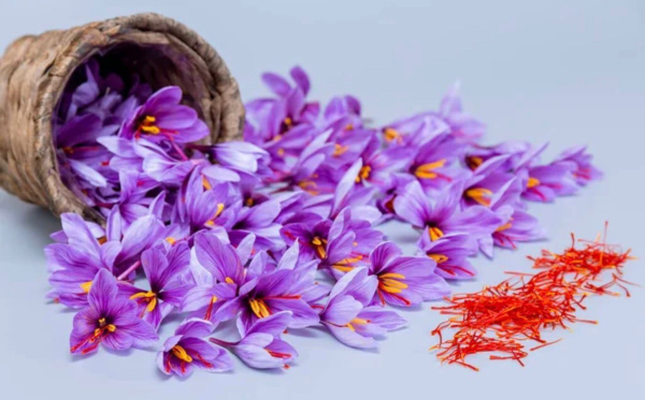 Safran Çiçekleri Sepette